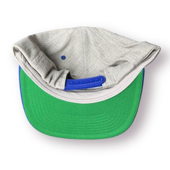 Who’s Poppin’ Snapback Adjustable Hat Grey/Blue/Green BNWT - Picture 5 of 5